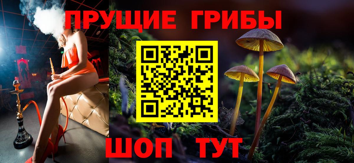 Карачаевск  Галлюциногенные грибы ЛСД  Вход с VPN 