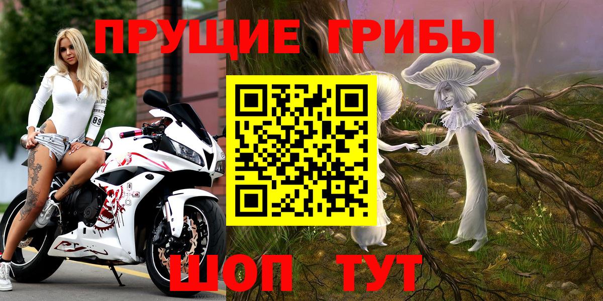 Псилоцибиновые грибы MAGIC MUSHROOMS Карачаевск